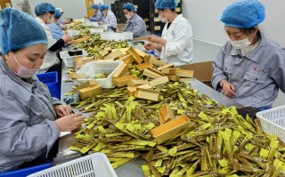 参活科技 延边：全力打造高端高值高新的现代化人参产业体系