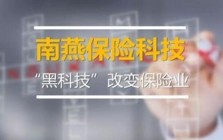 南燕科技 保险科技平台南燕完成1500万美元B+轮融资