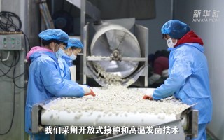 亮亮科技 在海外市场“吃得开”靠什么？这家民企这样说