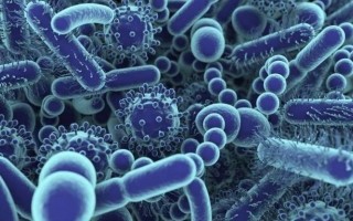 奇幻科技有限公司 微生物生存奇招：细菌竟能靠“放电”进行呼吸？
